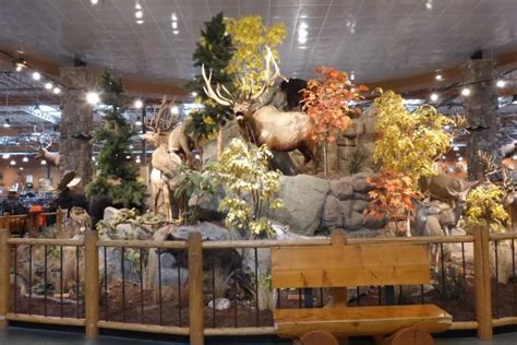 Cabelas boise - 9 Cabela's jobs in Boise, ID. Search job openings, see if they fit - company salaries, reviews, and more posted by Cabela's employees.